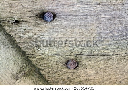 Aged wooden plank with nail heads. Close-up, texture.