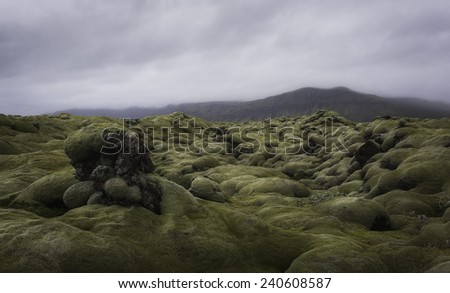 Moss covered lava fields, Iceland