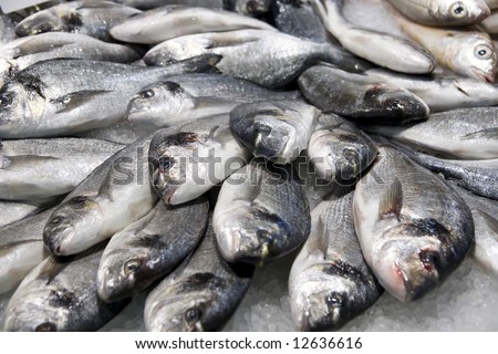 Pile of silver fish on ice, fish market