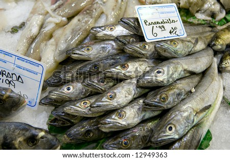 Pile of cooled cod, fish market in Barcelona, Spain