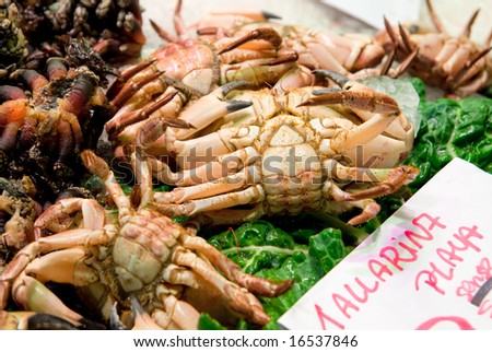 Live crabs on market stall. Boqueria city market, Barcelona, Spain