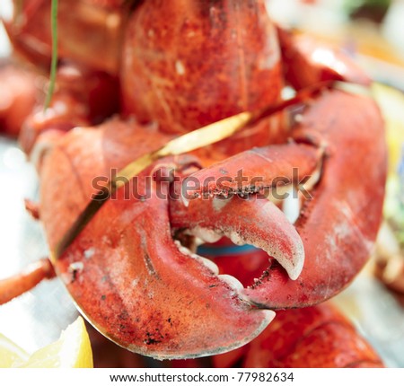 Prepared lobster claws, close-up shot, selective focus