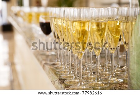 Rows of champagne flutes on bar counter, shallow focus