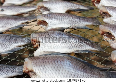 Dried Climbing perch fish (preserve food)
