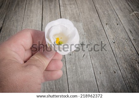 Hand holds a white flower - in the background a hard wood floor