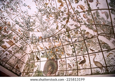 ROME - OCTOBER, 17: Frescoes with animals and plants coming from the New World in the garden pavillion by Jacopo Zucchi (1576) Villa Medici, Rome on October 17, 2014