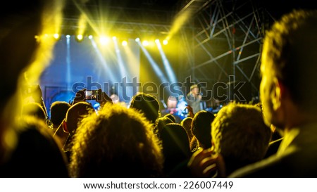 Rock concert audience
