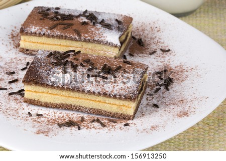 Chocolate cake with cacao and chocolate on a plate