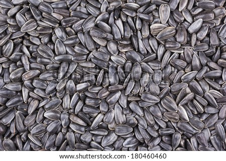 Black sunflower seeds as background fills the frame