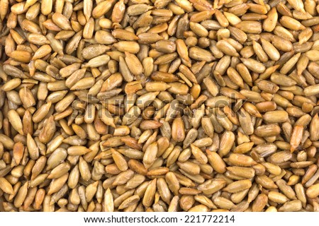roasted and salted sunflower seeds as background