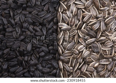 Black and white sunflower seeds as background fills the frame