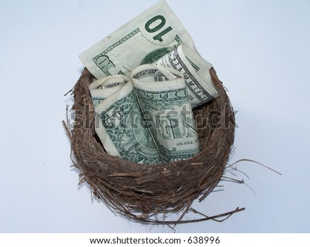 Financial nest egg