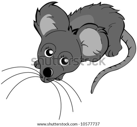 Rat Vector