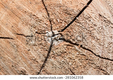 Abstract, wavy pattern in the wood of a tree stump
