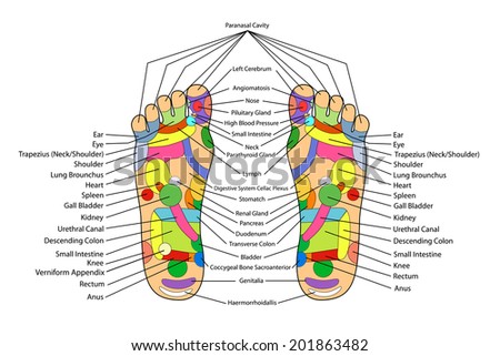 Traditional alternative heal, Acupuncture - Foot Scheme