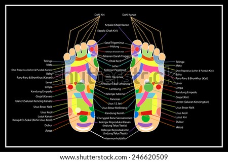 Traditional alternative heal, Acupuncture - Foot Scheme (Indonesia Language)