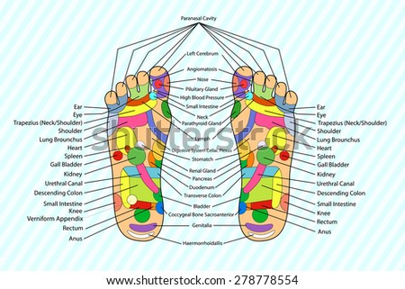 Traditional alternative heal, Acupuncture - Foot Scheme