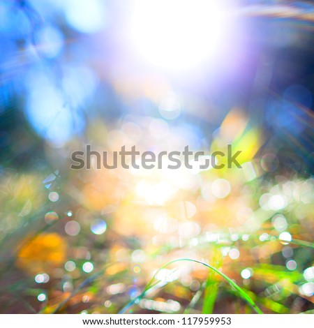 Spring or summer abstract nature background grass