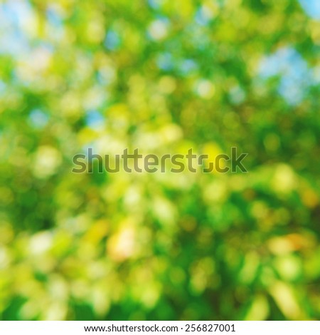 Soft abstract, natural background nature, out of focus, not sharp