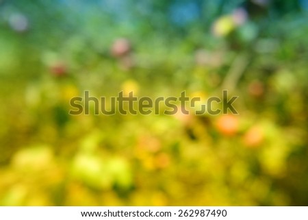 Soft yellowish green colorful background, abstract natural