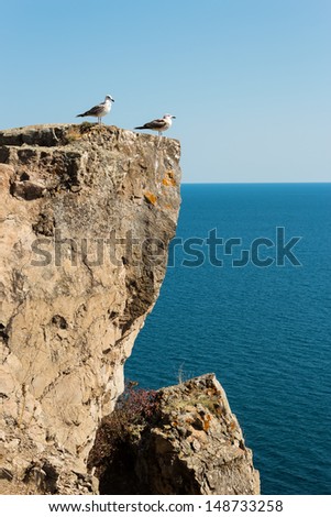 Two seagulls standing on a cliff against the sea