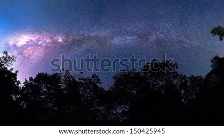 Milky Way cross over forrest, national park THAILAND