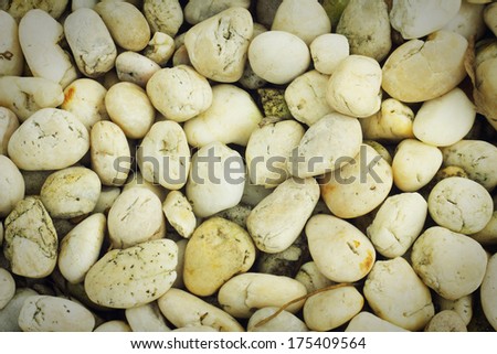 White gravel,background or texture.