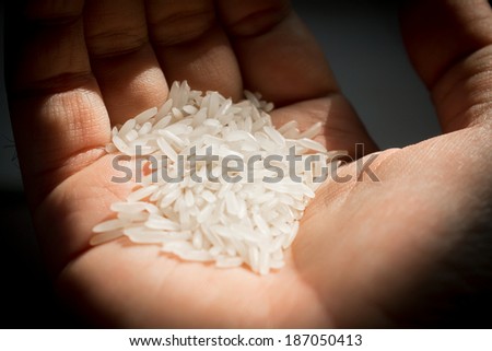Raw rice in hand,food concept.