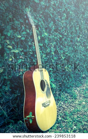 Vintage filtered acoustic guitar in garden.