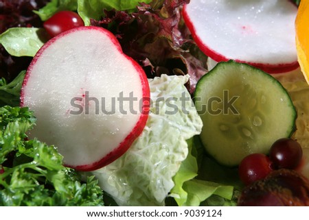 Vegetables radish and cucumber as part of meal