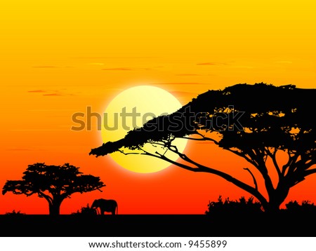 African Sunset Landscape