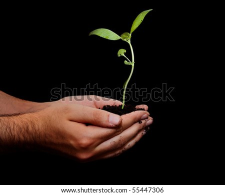 Hand that holds new life