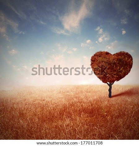 Concept of valentine day with love tree in a field