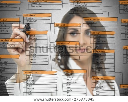 Businesswoman works on the database software development