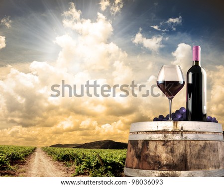 Wine still life with cask and vineyard