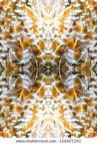 Reflected bird pattern