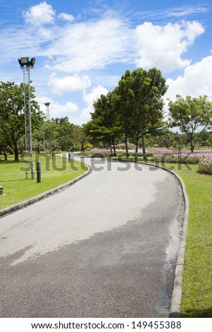 The beautiful garden , Landscaping in the garden. The path in th
