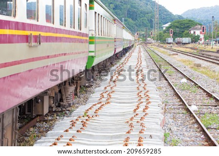 Trains, rail travel, road and rail ,Cargo train platform at sunset with container
