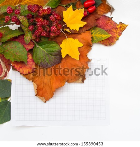 Autumn leaves and berries with paper for notes.