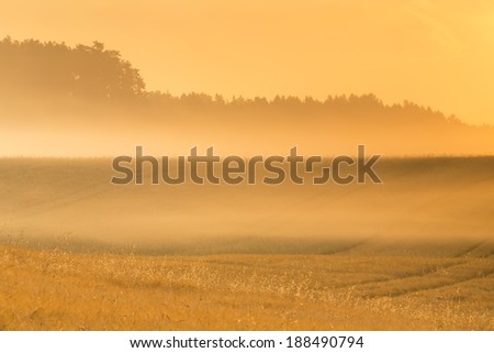 Morning light. North Poland.Pomerania district/Morning light