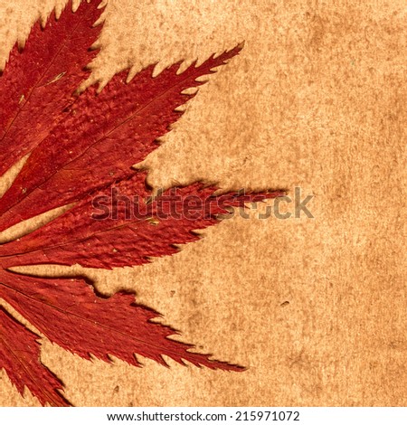 Red Leaf On Textile Background./ Red Leaf On Textile Background.