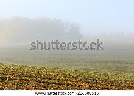 Morning light and fog in Kashubia province in north Poland/Morning fog light