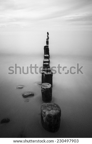 Wooden stakes on sandy beach in north Poland. Baltic Sea.Black and white with grain added/Moody Baltic Sea