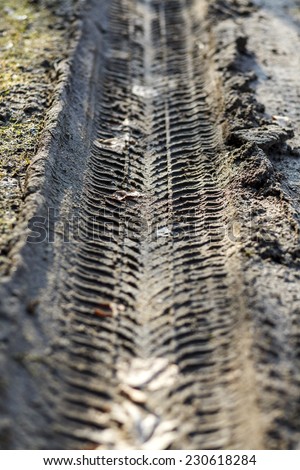 Tire marks in the mud/Tire marks in the mud