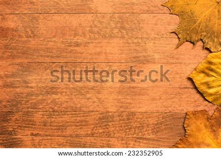 Autumn leaves background texture/Autumn leaves background