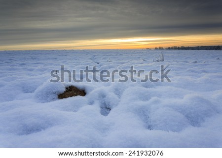 Winter snowy fields in north Poland/Winter snowy fields sunrise