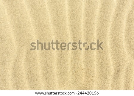 Sand Texture Background/ Sand Texture Background