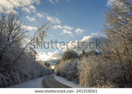 Winter forest and road in north Poland/Winter road