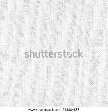 White Canvas Texture or Background/White Canvas