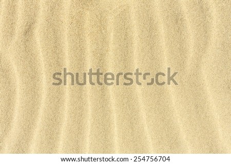 Sand Texture/ Sand Texture